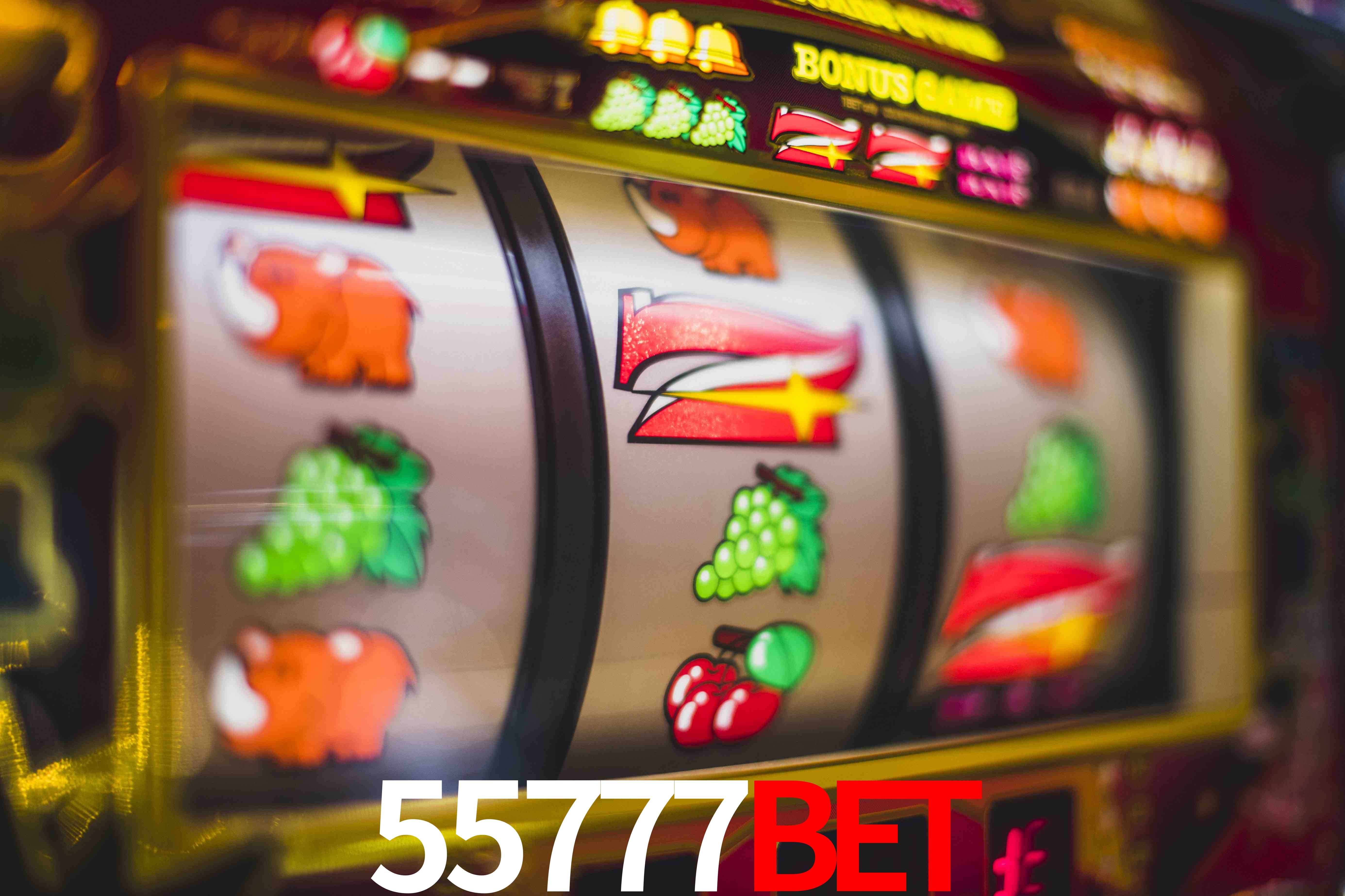 Basketball Betting 55777BET